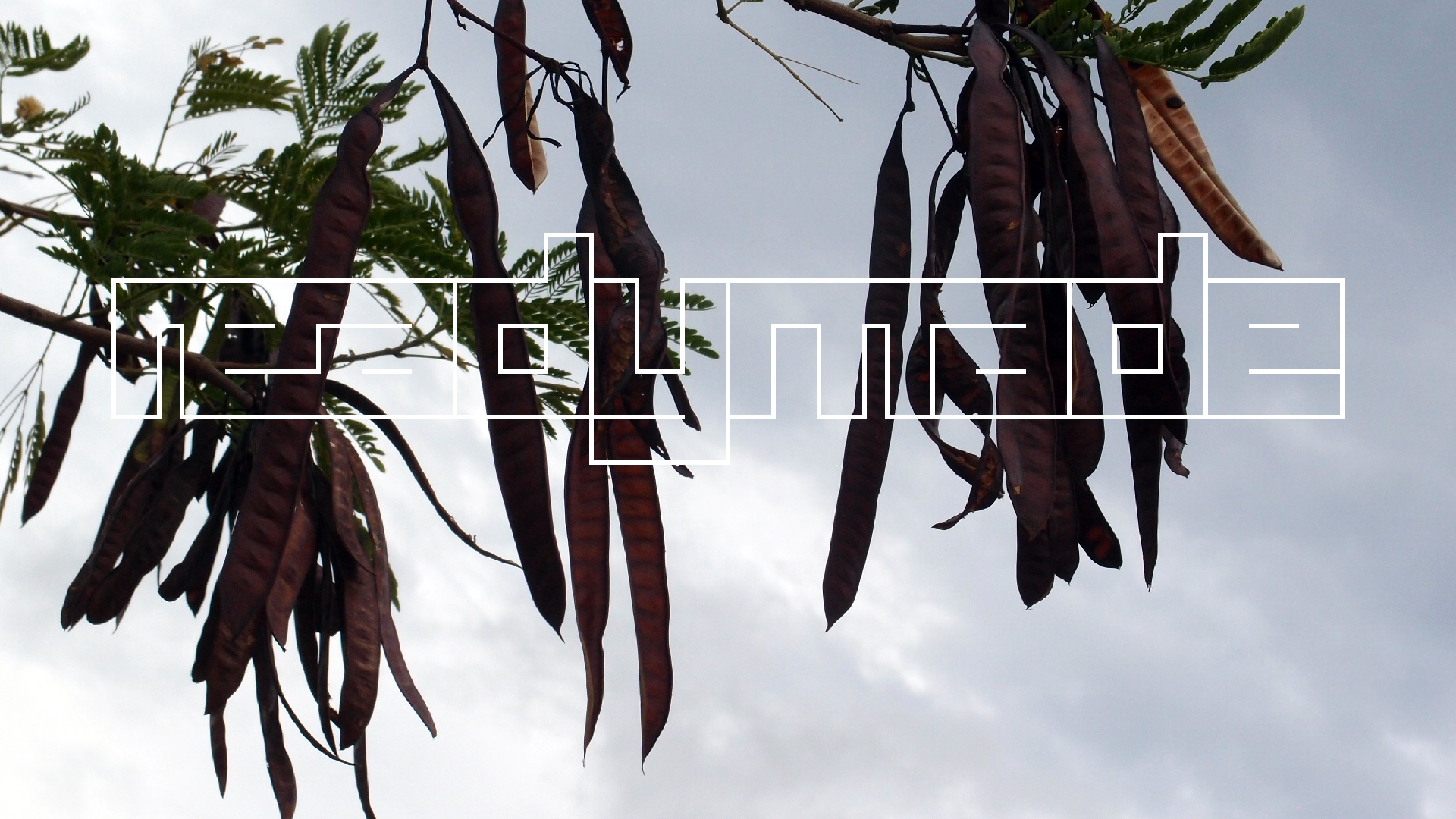 2022-04-17 im Auto (Audio, Video)